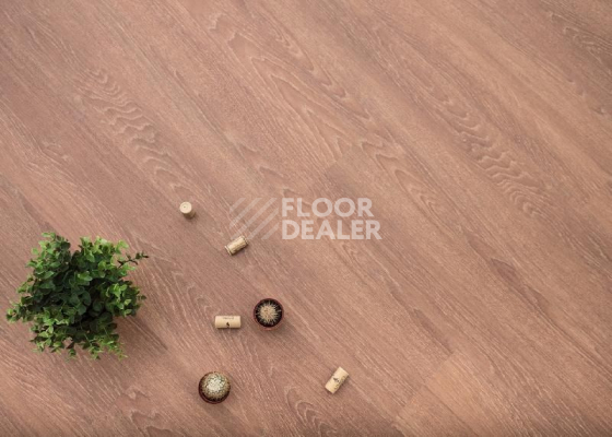 Кварцвиниловые полы Ecoclick Wood  замковый 4.2мм NOX-1614 Дуб Арагон фото 1 | FLOORDEALER